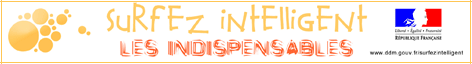 SURFEZ INTELLIGENT NDISPENSABLES