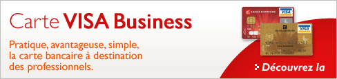 Carte visa business