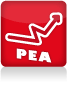 Plan Epargne en Actions (PEA)